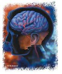 stroke 1 1